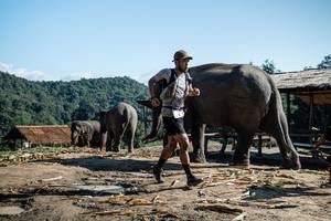 BIB: 
                            <button type="button" onclick="openModal(22423639)" class="btn btn-primary btn-sm float-right btn-popup" data-toggle="modal" data-target=".modal-high-quality">
                        <i class="fas fa-shopping-cart"></i> Add to Cart
                    </button>
                                            <button type="button" onclick="isThisMe(22423639, true)" class="btn btn-success btn-sm float-right btn-popup btn-isme hidden" data-toggle="tooltip" data-placement="bottom" title="นี่คือรูปของคุณใช่ไหม คลิกที่นี่เพื่อเอาเข้าอัลบั้ม">
                        <i class="fas fa-plus"></i> Add to album
                    </button>
                    <button type="button" onclick="isThisMe(22423639, false)" class="btn btn-warning btn-sm float-right btn-popup btn-isnotme hidden">
                        <i class="fas fa-ban"></i> Remove from album
                    </button>